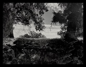 Wynn Bullock, Untitled, 1950's - 2