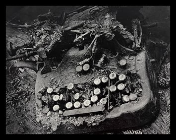 Wynn Bullock, Untitled, 1950's - 3