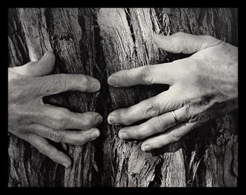 Wynn Bullock, Untitled, 1950's - 5