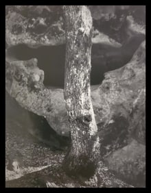 Ansel Adams, Castle Rock, Summit Road Above Saratoga, California, 1963