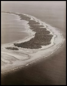 Adolphe Sylvain, Untitled, 1946 - 5