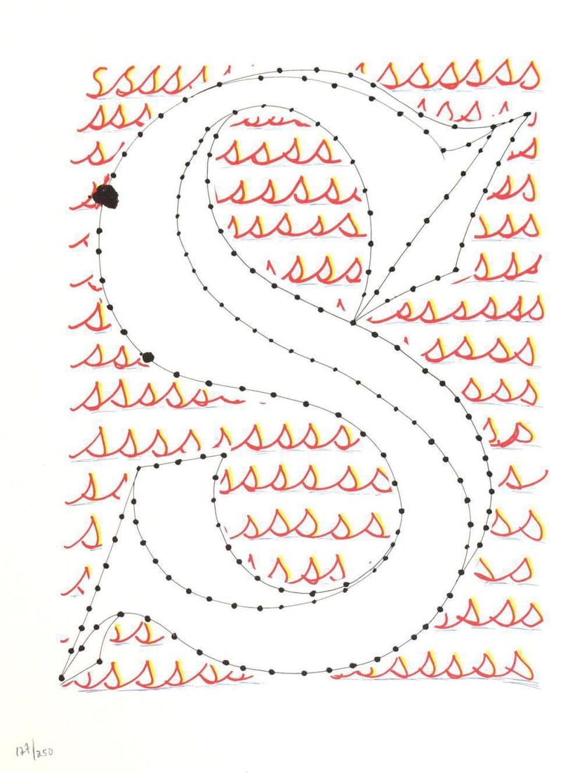 David Hockney, Letter S - Framed Lithograph (1 of 1)