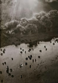 Sebastiao Salgado, African buffalos, Okavango Delta, Botswana, 2007