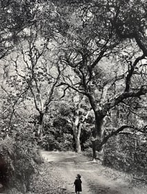 Wynn Bullock, Untitled, 1950's - 4