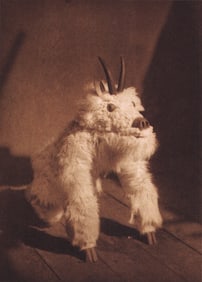 Edward S. Curtis, PLATE 30 Tawihyilabl (Mountain Climber Embodiment) Kwakiutl (Qagyubl), 1914