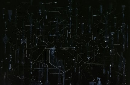 Ruud Van Empel, Photosketch#10, 2002