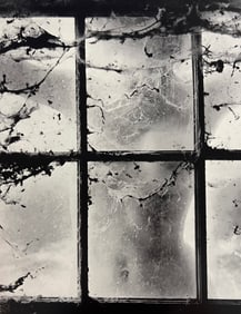 Wynn Bullock, Untitled, 1950's - 5