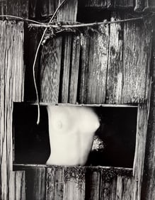 Wynn Bullock, Untitled, 1950's - 6