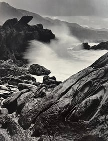 Wynn Bullock, Untitled, 1950's - 8