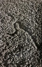 Sebastiao Salgado, Amazon rainforest and tributary of the Rio Negro, Brazil, 2011