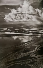 Sebastiao Salgado, Anavilhanas, Amazonas, Brazil, 2009