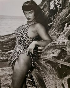 Eric Kroll, Cheetah print, 1990's