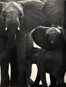 Peter Hill Beard, Facing The Enemy, 1960s