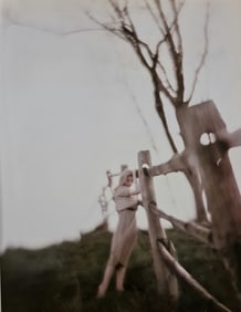 Melvin Sokolski, Button, Big, Fence, 1959