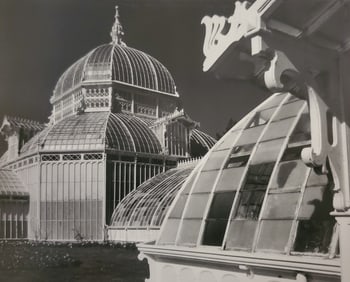 Ansel Adams, Conservatory, Golden Gate Park, San Francisco, California, 1962