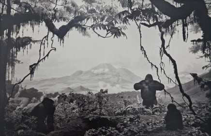 Hiroshi Sugimoto, Gorilla, 1980