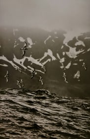 Sebastiao Salgado, Antarcic prions near Bird Island, 2009