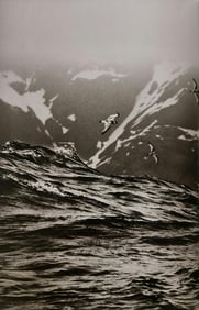 Sebastiao Salgado, Antarcic prions near Bird Island, 2009