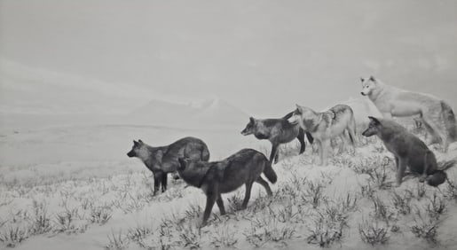 Hiroshi Sugimoto, Alaskan Wolves, 1994