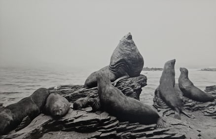 Hiroshi Sugimoto, Stellar Sea Lion, 1994