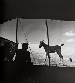 Horst P. Horst, Colt And Silhouette Of Two Men, 1949