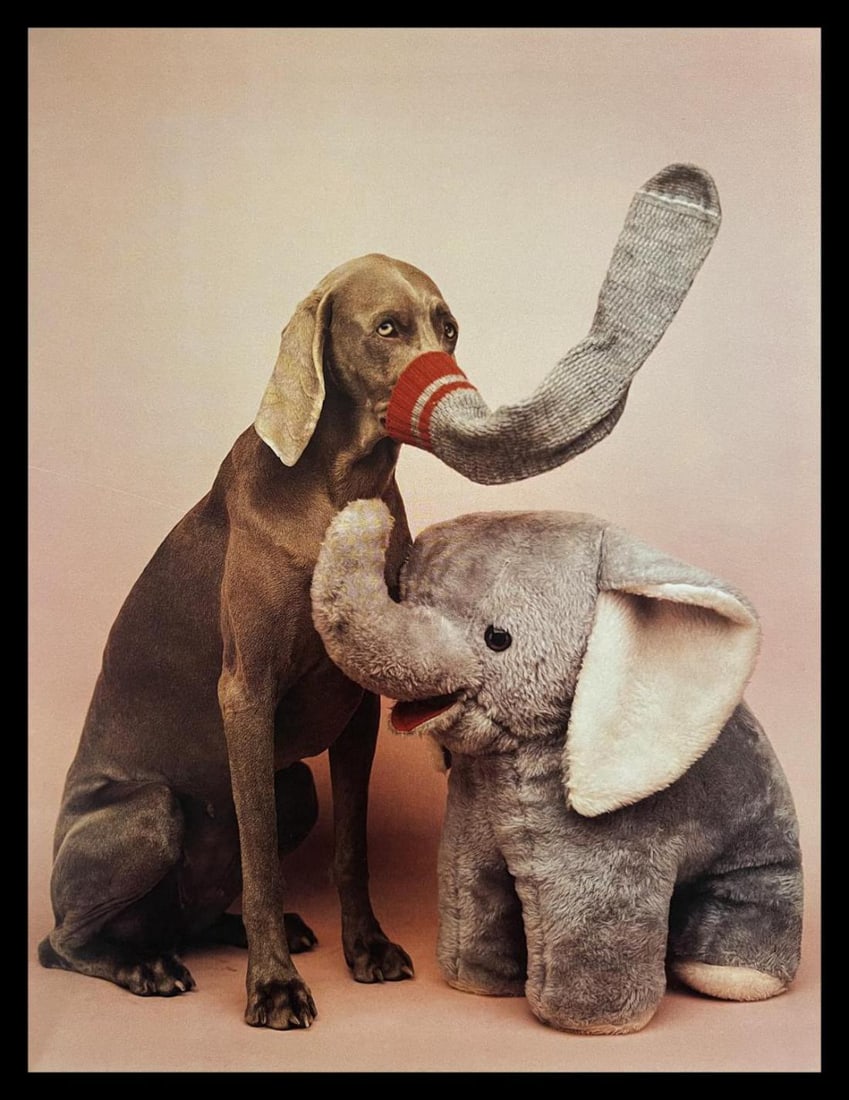 William Wegman, Elephant: Photographer: William Wegman Subject/Title: Elephant Type Of Print: Photogravure Date Of Print: 1994 Publisher: Library Of Congress Cataloging Approximate Image Size: 11 x 8 inches Mount Board Size Ap