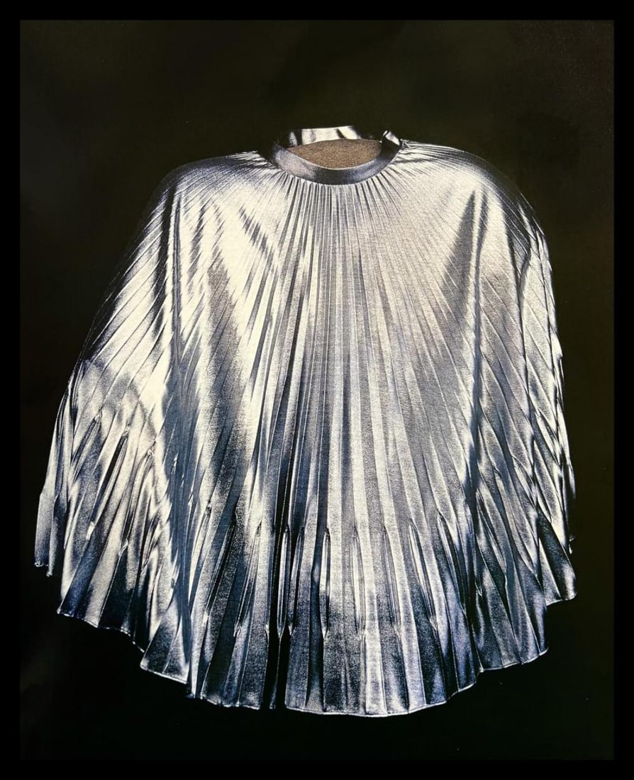 William Wegman, Duct, 1994 (1 of 1)