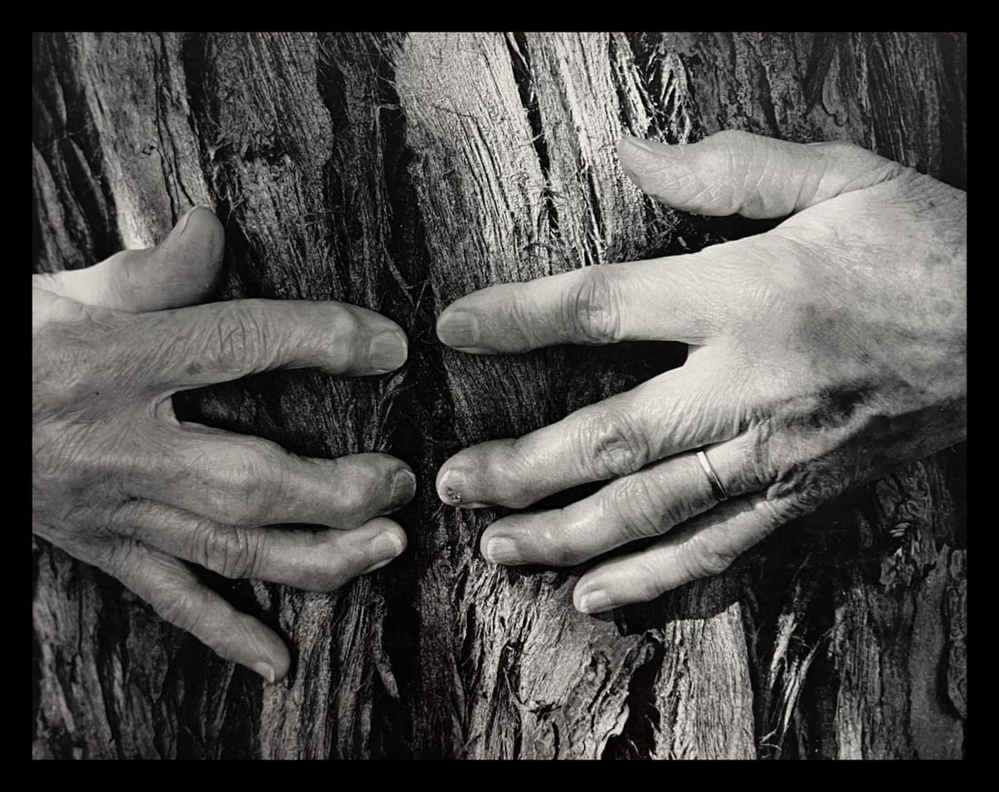 Wynn Bullock, Untitled, 1950's - 5: Artist: Wynn Bullock Title: Untitled Year: 1950's Date Of Print: 1971 Approximate Dimensions: 7 x 6 Mat size: 14 x 11 inches Print/Printmaer: The Scrimshaw Press Medium: Sheet-Fed Photogravure Conditi