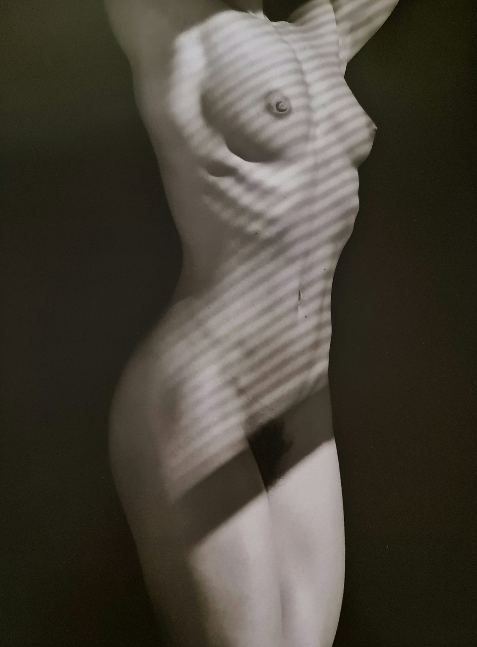 Robert Mapplethorpe, Vibert's Back, 1984 (1 of 1)