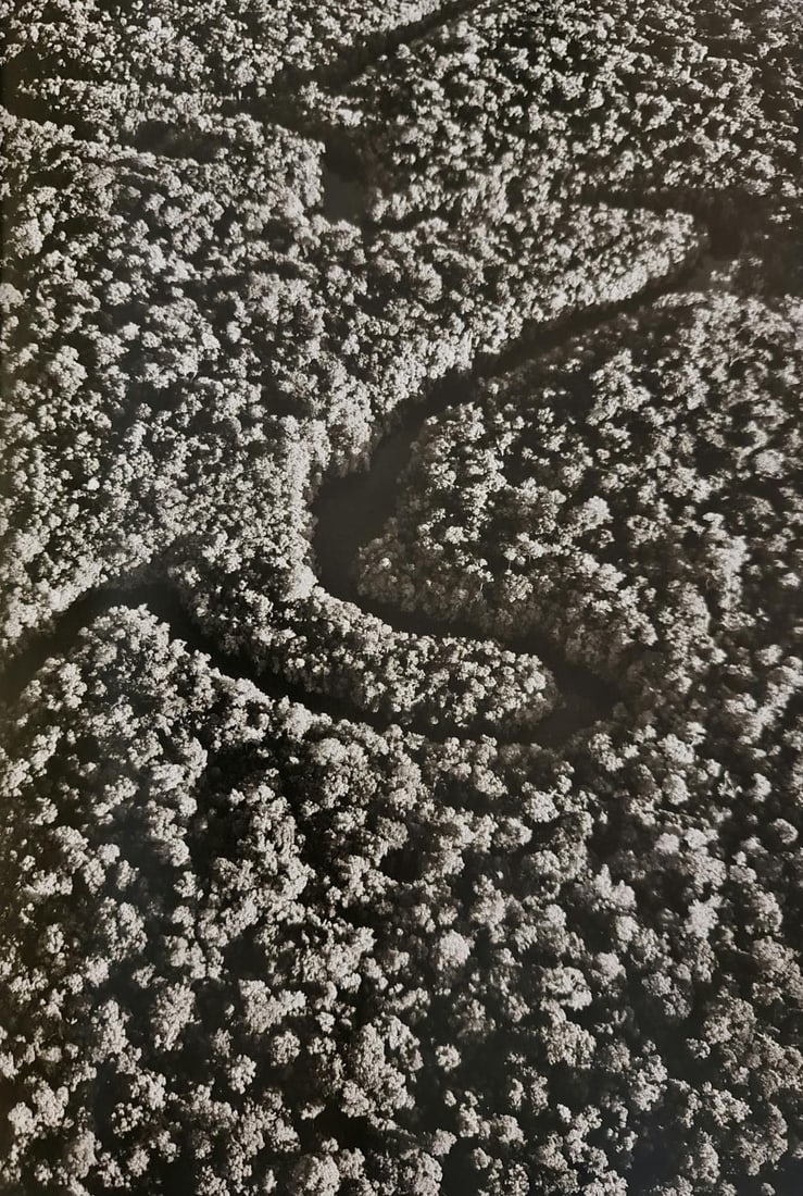 Sebastiao Salgado, Amazon rainforest and tributary of the Rio Negro, Brazil, 2011 - 1 (1 of 1)
