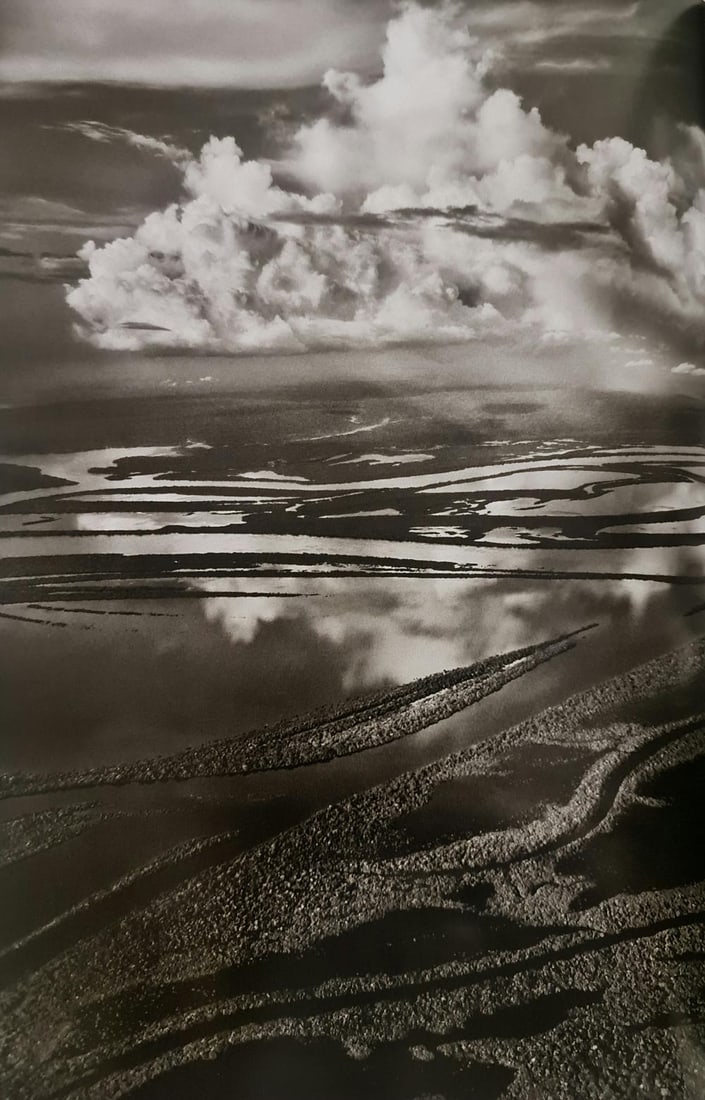 Sebastiao Salgado, Anavilhanas, Amazonas, Brazil, 2009: Photographer: Sebastiao Ribeiro Salgado Junior is a Brazilian social documentary photographer and photojournalist. He has traveled to over 120 countries for his photographic projects. Most of these ha