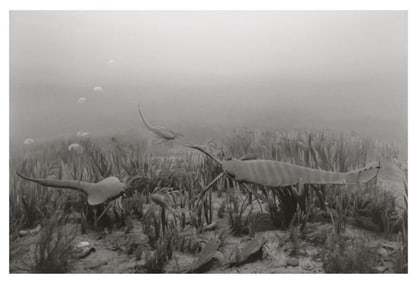 Hiroshi Sugimoto, Silurian Period, 1992, Limited Edition Of 360