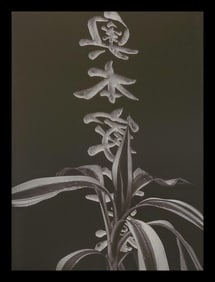 Brett Weston, Headstone 1989