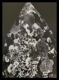 Brett Weston, Headstone, Honokaa 1991