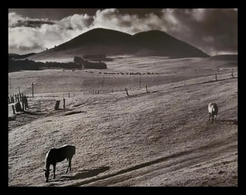 Brett Weston, Kahua Ranch 1985