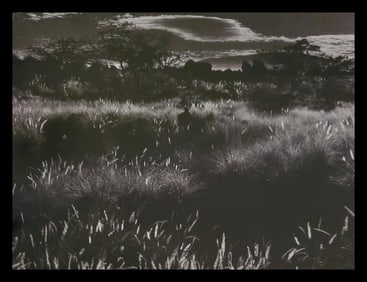 Brett Weston, Landscape, 1980