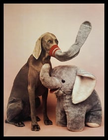 William Wegman, Elephant