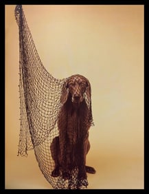 William Wegman, Fishing Net