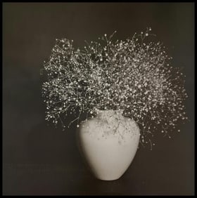 Robert Mapplethorpe, Baby's Breath, 1978