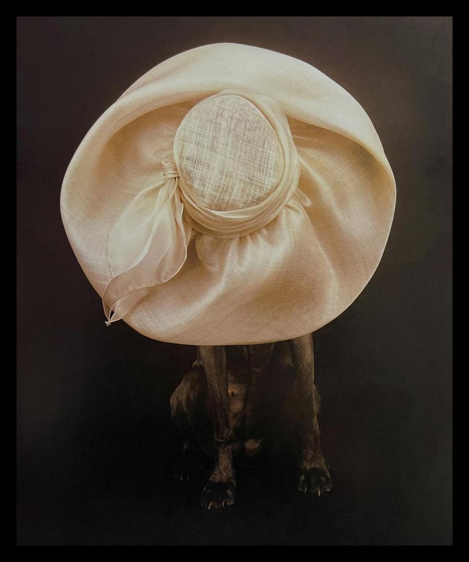 William Wegman, Cream Puff: Photographer: William Wegman Subject/Title: Cream Puff Type Of Print: Photogravure Date Of Print: 2010 Print/Platemaker: Abrams Inc. Approximate Image Size: 9 x 7.5 inches Mount Board Size Approx.: 14