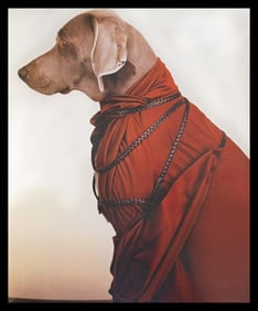 William Wegman, Dressage, 1999