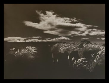 Brett Weston, Parker Ranch 1987