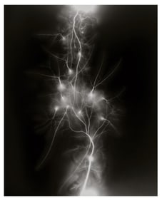 Hiroshi Sugimoto, Lightning Fields-011, 2007, Limited Edition Of 360