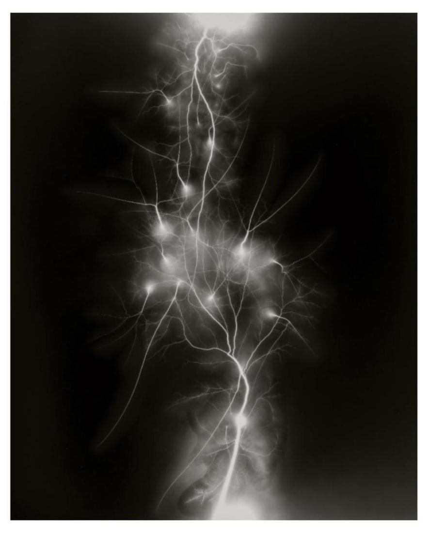 Hiroshi Sugimoto, Lightning Fields-011, 2007, Limited Edition Of 360: Photographer: Hiroshi Sugimoto is a contemporary Japanese photographer whose esoteric practice explores memory and time. Using the intrinsic quality of long exposure photography, the artist provides i