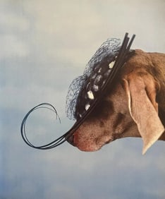 William Wegman, Migratory, 1999