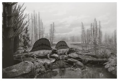 HIROSHI SUGIMOTO, PERMIAN LAND, 1992