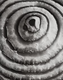 Horst P. Horst, Red Onion