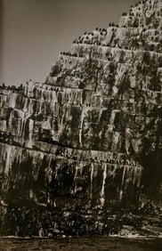 Sebastiao Salgado, Colonies of fur seals at Eddystone Rock, Falkland Islands, 2009