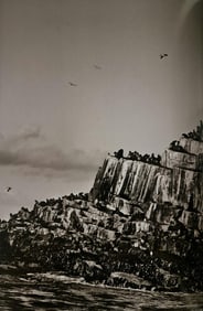 Sebastiao Salgado, Colonies of fur seals at Eddystone Rock, Falkland Islands, 2009