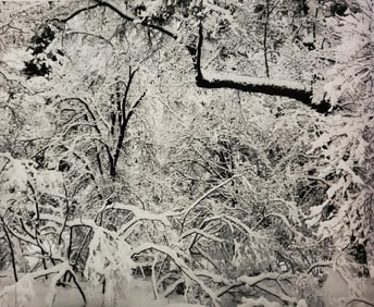 Ansel Adams, Fresh Snow, Yosemite National Park, California, C. 1947